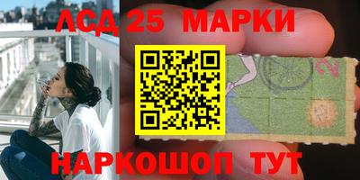 ГАЛЛЮЦИНОГЕННЫЕ ГРИБЫ Свободный