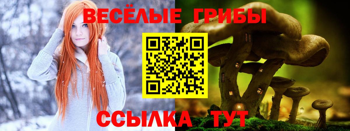 Псилоцибиновые грибы Magic Shrooms  Псилоцибиновые грибы Psilocybine cubensis  Саянск  Вход с VPN 